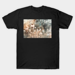 Oxford Poppy T-Shirt